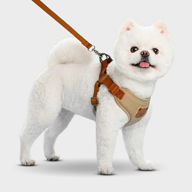 Breathable Pet Harness & Leash Set for Small to Medium Dogs