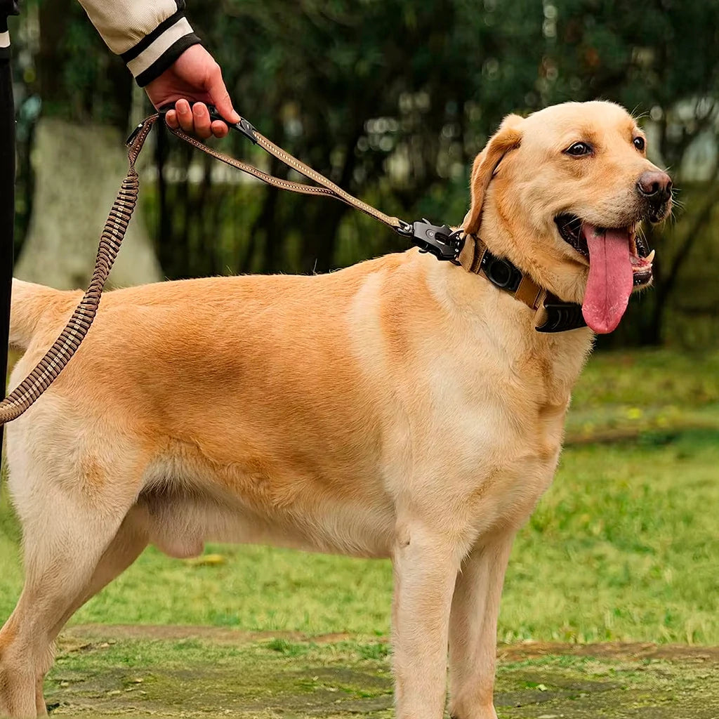 Reflective Heavy Duty Tactical Bungee Dog Leash with Seatbelt