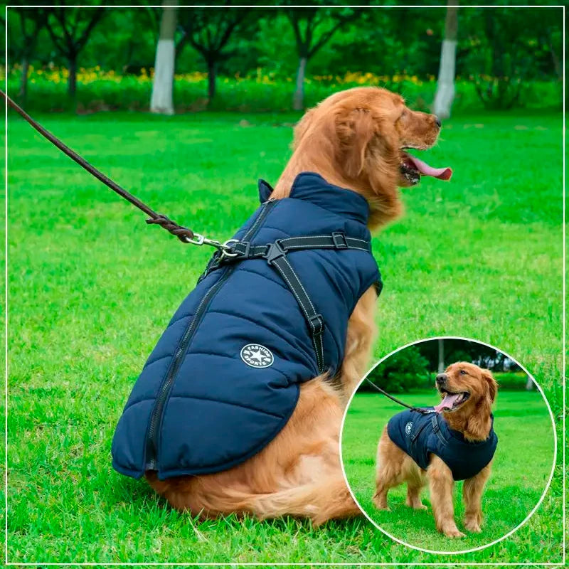 Ultimate Winter Dog Jacket with Harness - Waterproof & Warm