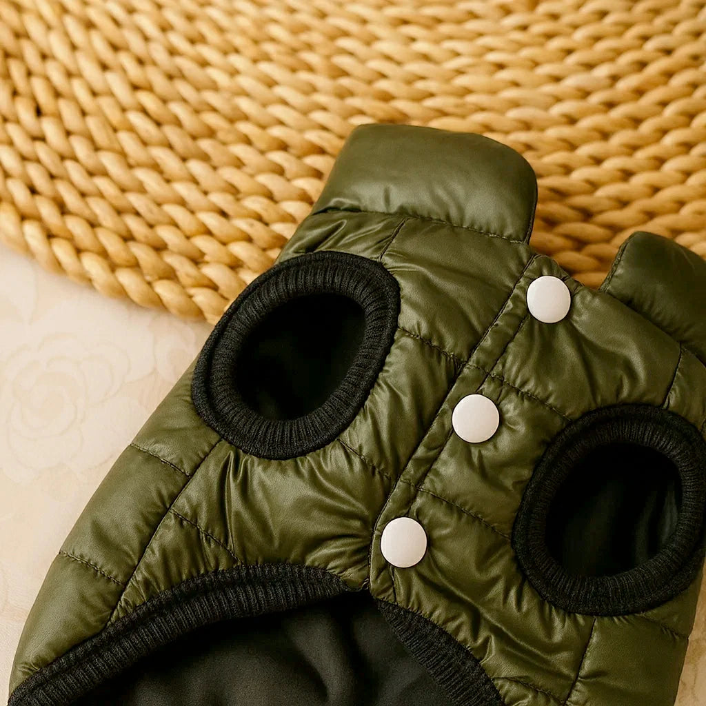 Double Sided Winter Dog Coat - Warm & Stylish Pet Vest