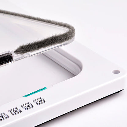 Magnetic Cat Door with 4-Way Lock for Safe Pet Access