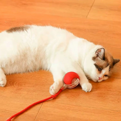 SmartMotion Ball – USB Rechargeable Interactive Cat Toy with Automatic Movement & Sound