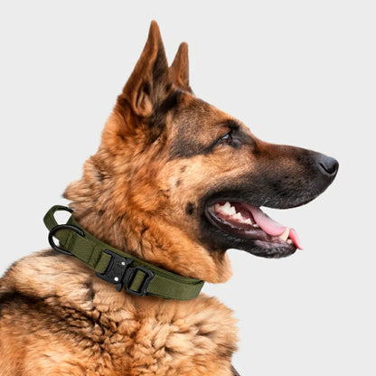 Tactical Nylon Dog Collar with Metal Buckle for Training