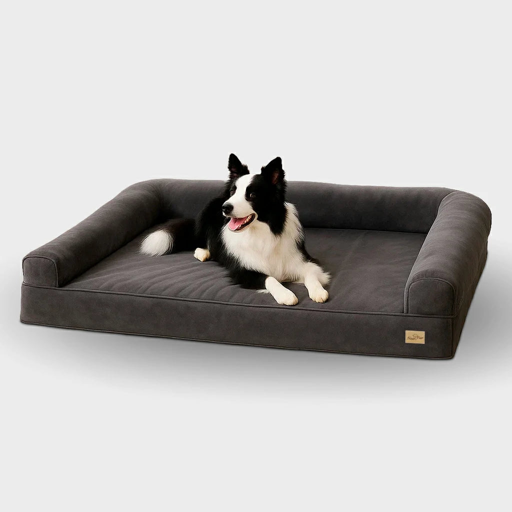Orthopedic Extra Large Dog Bed with Washable Cover