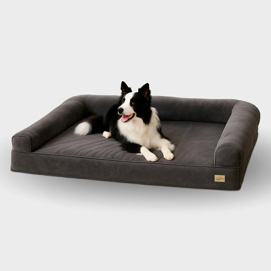 Orthopedic Extra Large Dog Bed with Washable Cover