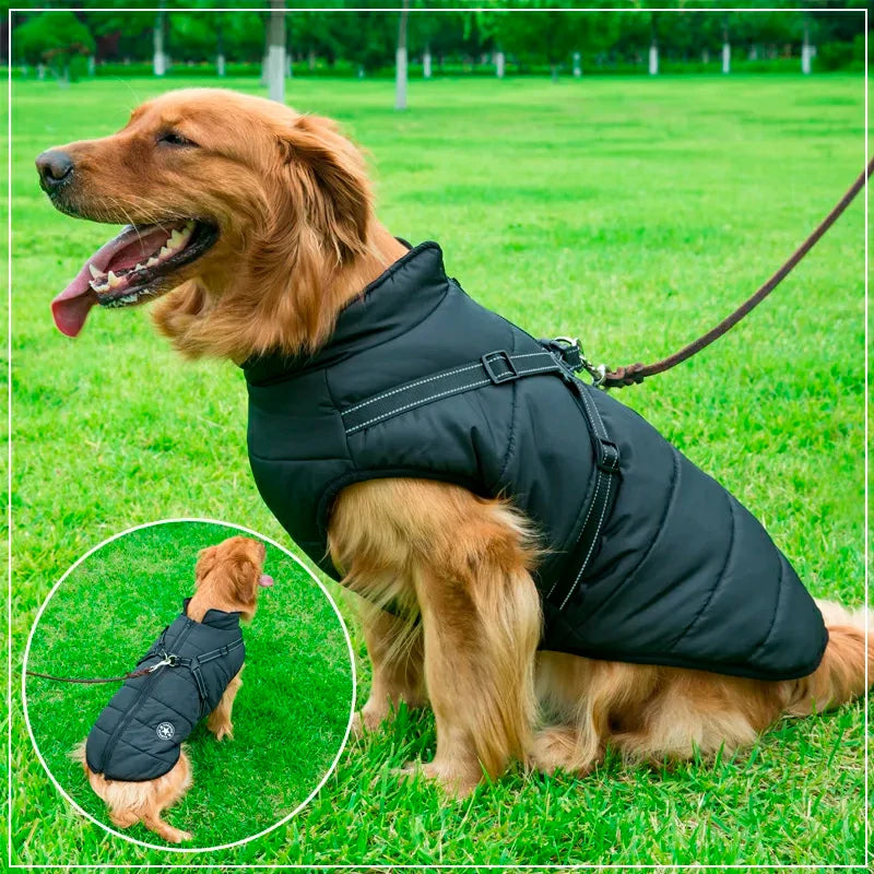 Ultimate Winter Dog Jacket with Harness - Waterproof & Warm