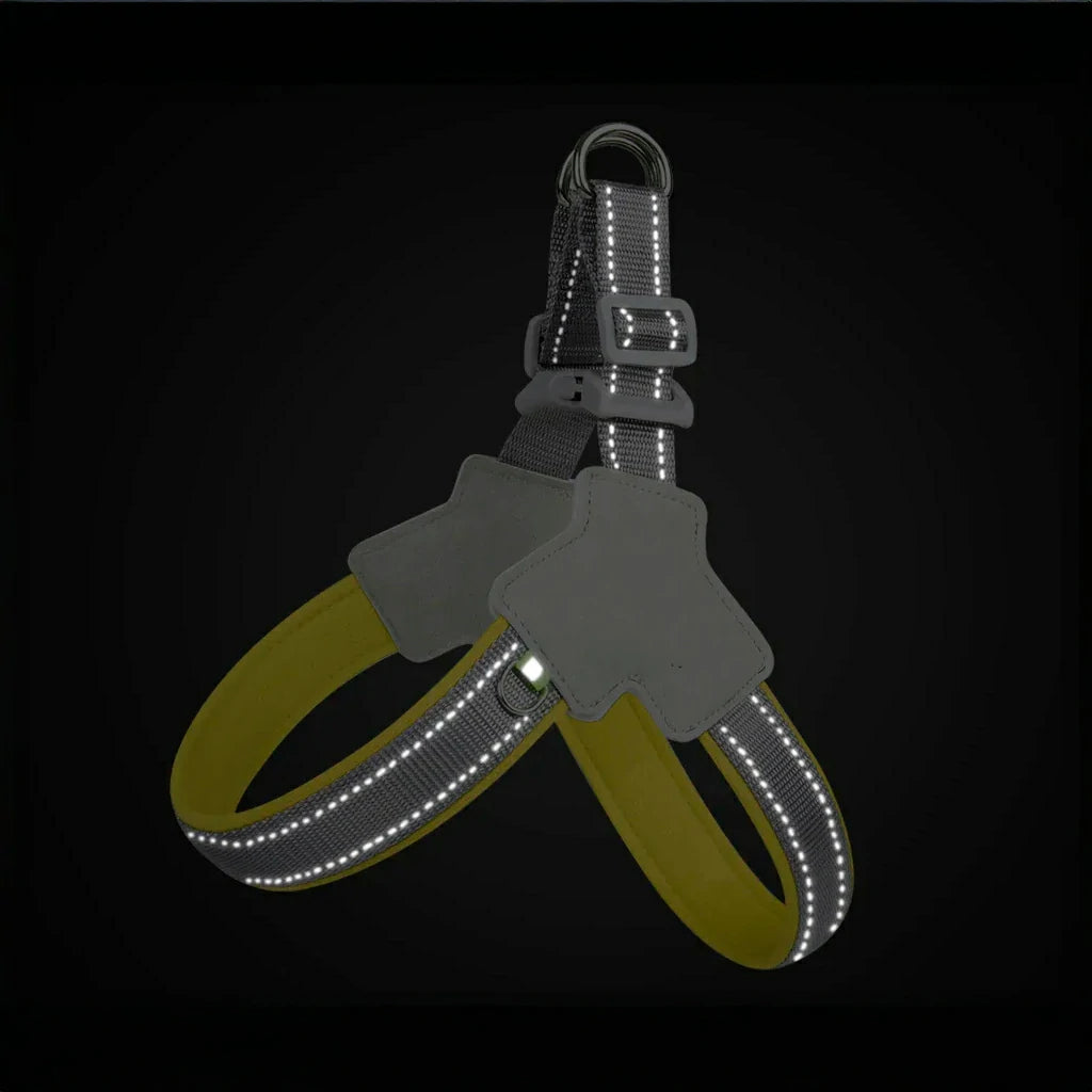 Reflective No-Pull Dog Harness for Small to Medium Pets