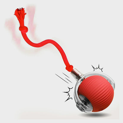 SmartMotion Ball – USB Rechargeable Interactive Cat Toy with Automatic Movement & Sound