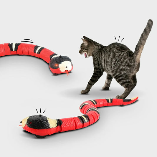 Interactive USB Rechargeable Snake Cat Toy
