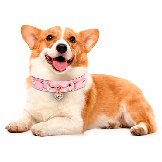 Elegant Rhinestone Heart Pet Collar - Adjustable & Comfortable