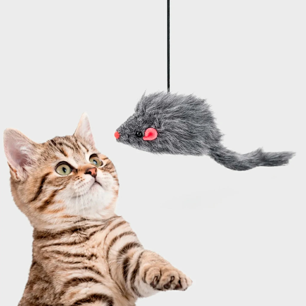 Interactive Cat Teaser Toy - Door Hanging Mouse