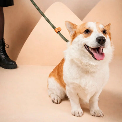 Heavy Duty Adjustable Dog Training Leash