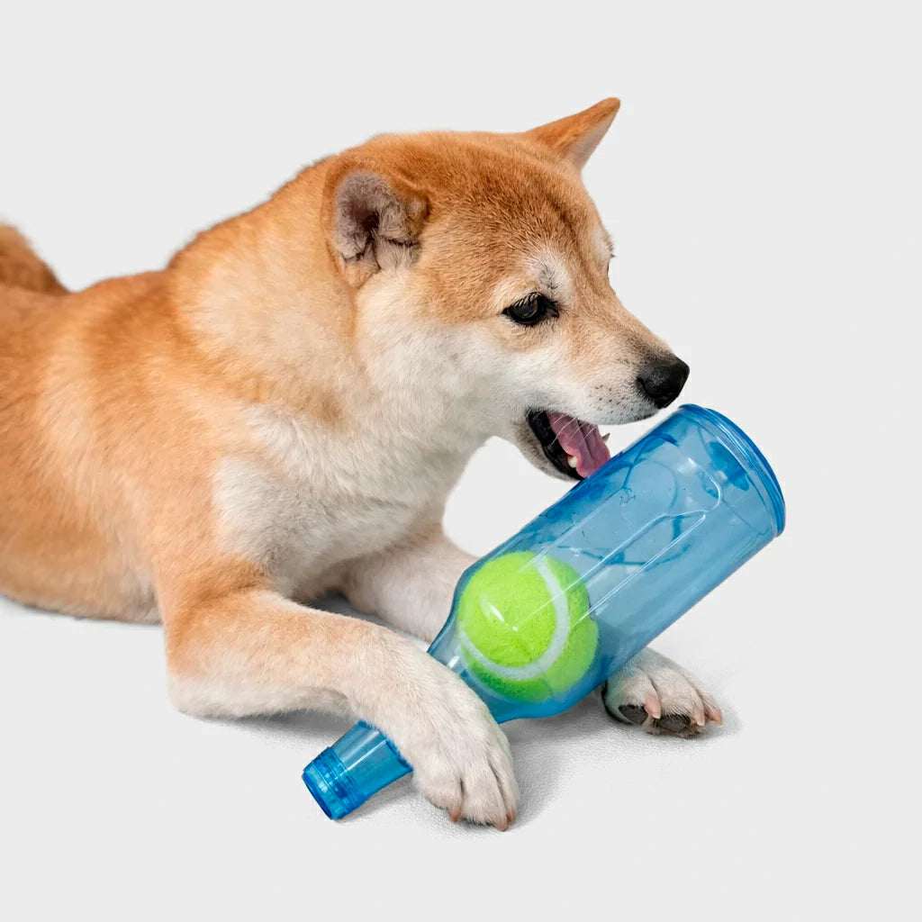 Squeaky Silicone Beer Bottle Dog Chew Toy