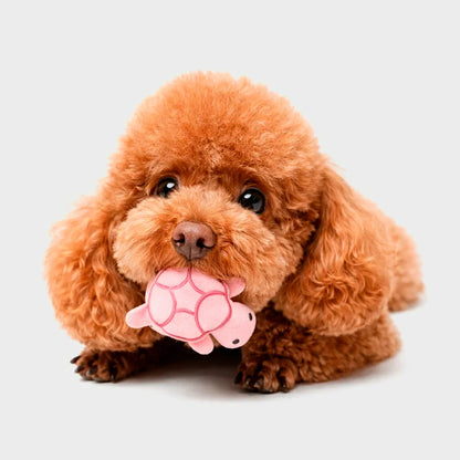 Mini Turtle Plush Chew Toy for Puppies