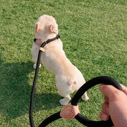 Heavy Duty Adjustable Dog Training Leash