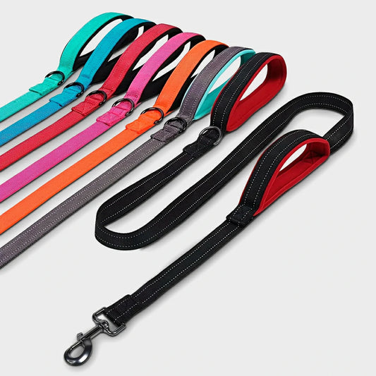 Double Handle Reflective Dog Leash for Night Safety