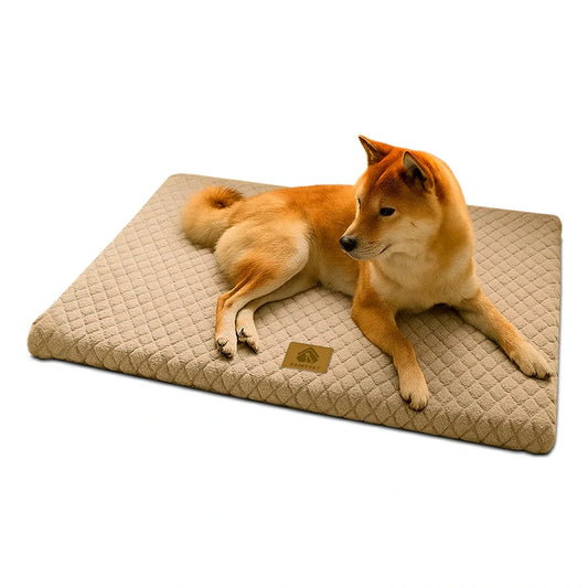 Orthopedic 3D Foam Dog Bed with Washable Faux Fur Cover