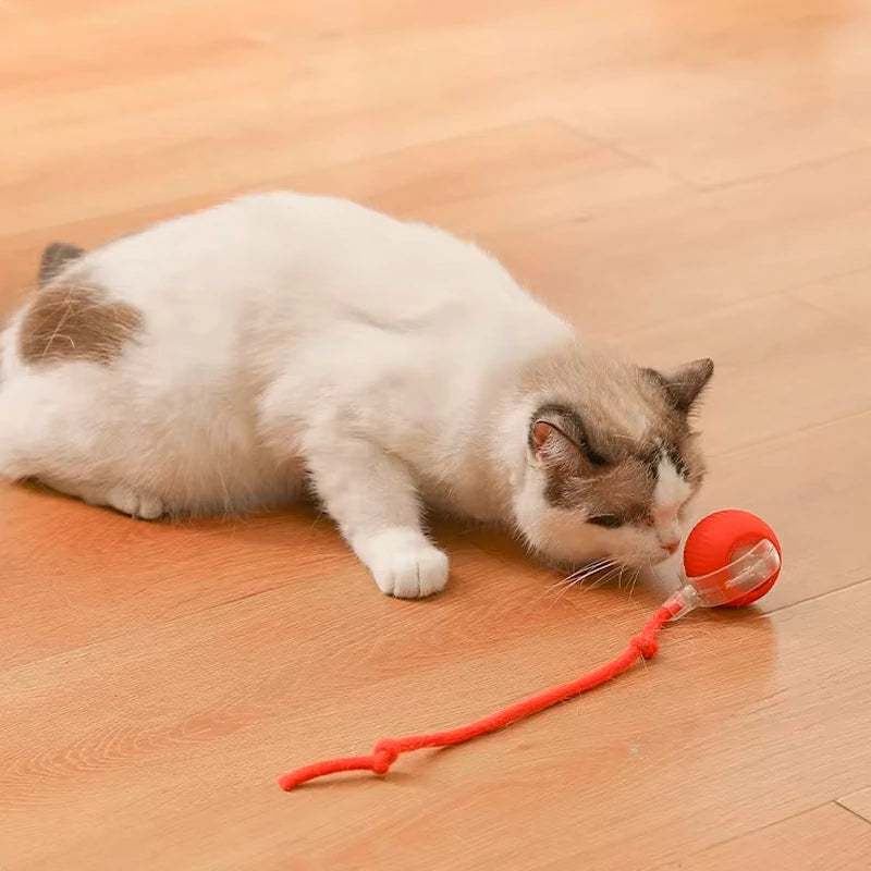 SmartMotion Ball – USB Rechargeable Interactive Cat Toy with Automatic Movement & Sound