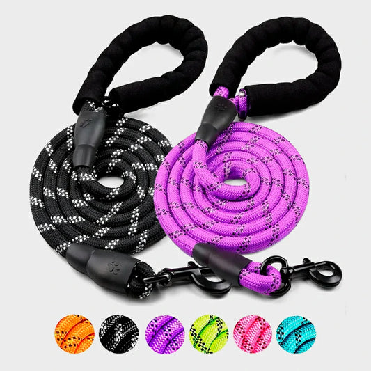 Reflective Nylon Dog Leash for All Breeds