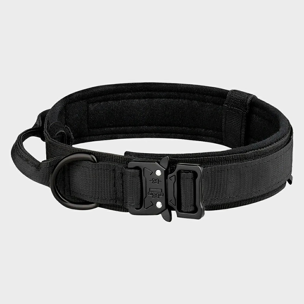 Tactical Nylon Dog Collar with Metal Buckle for Training