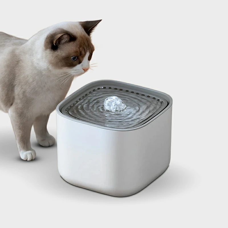 Silent Cat Water Fountain with Large Capacity & USB Power