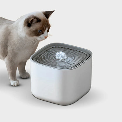 Silent Cat Water Fountain with Large Capacity & USB Power