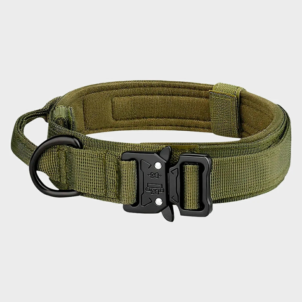 Tactical Nylon Dog Collar with Metal Buckle for Training