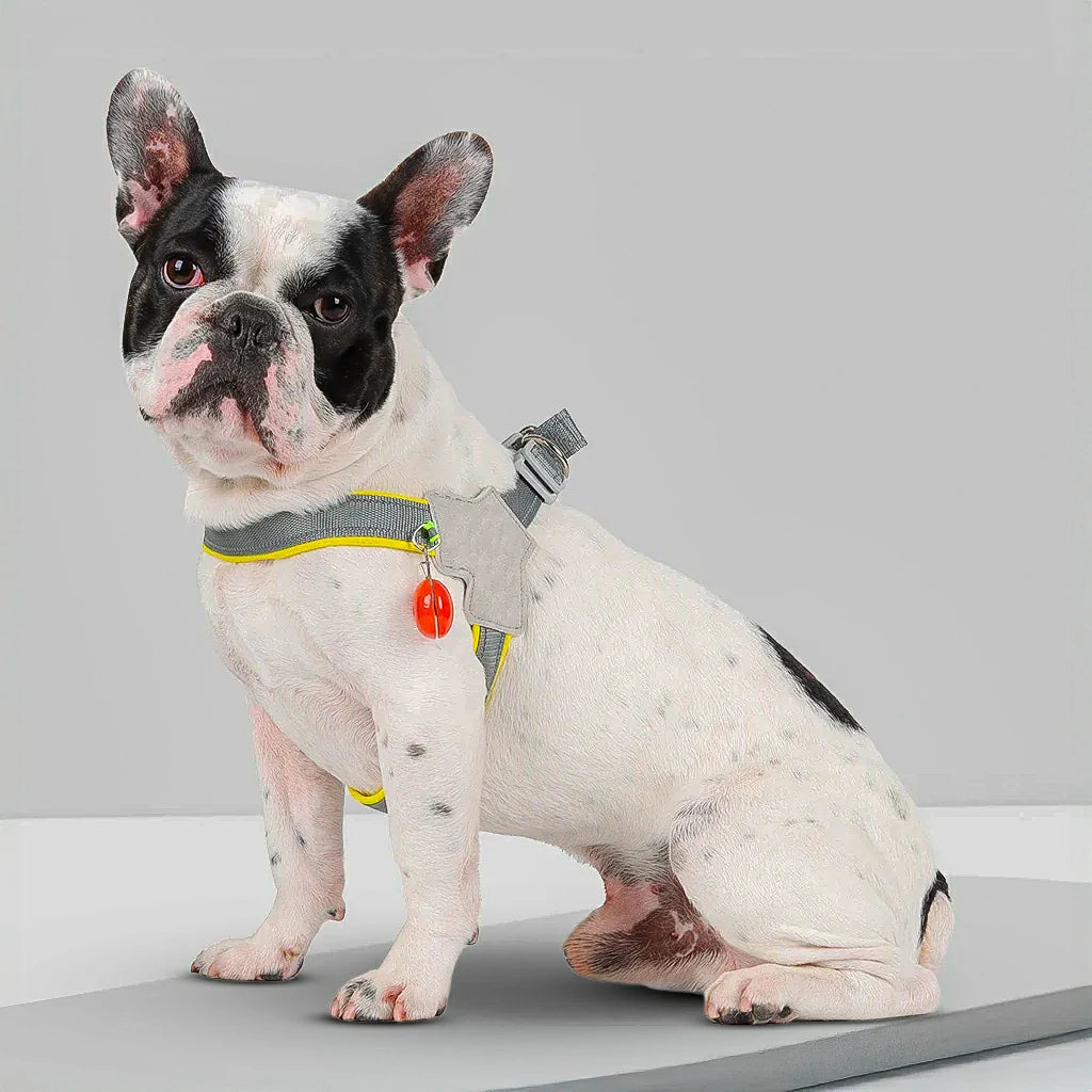 Reflective No-Pull Dog Harness for Small to Medium Pets