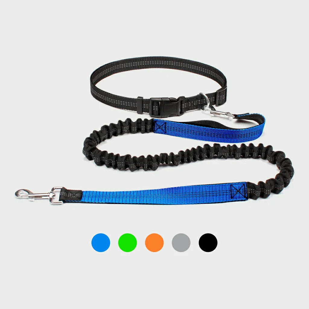 Hands-Free Adjustable Dog Leash for Active Pet Owners