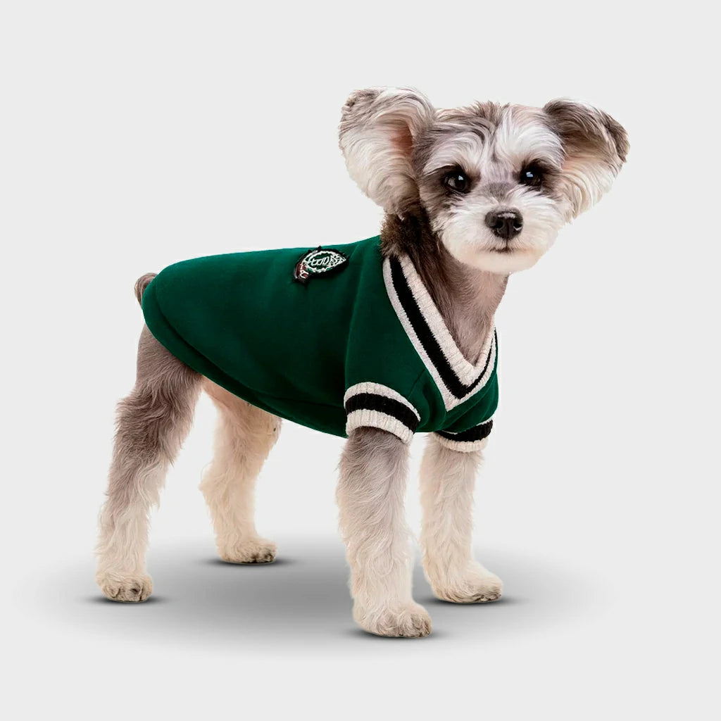 Cozy V-Neck Knit Sweater for Small Pets