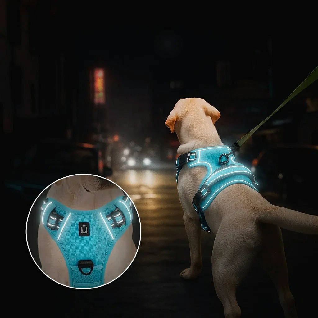 Ultimate No Pull Dog Harness with Reflective Safety