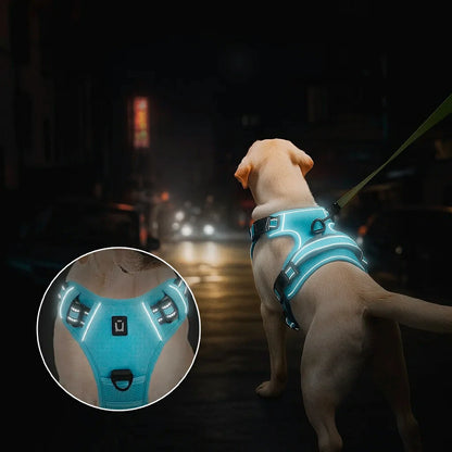Ultimate No Pull Dog Harness with Reflective Safety