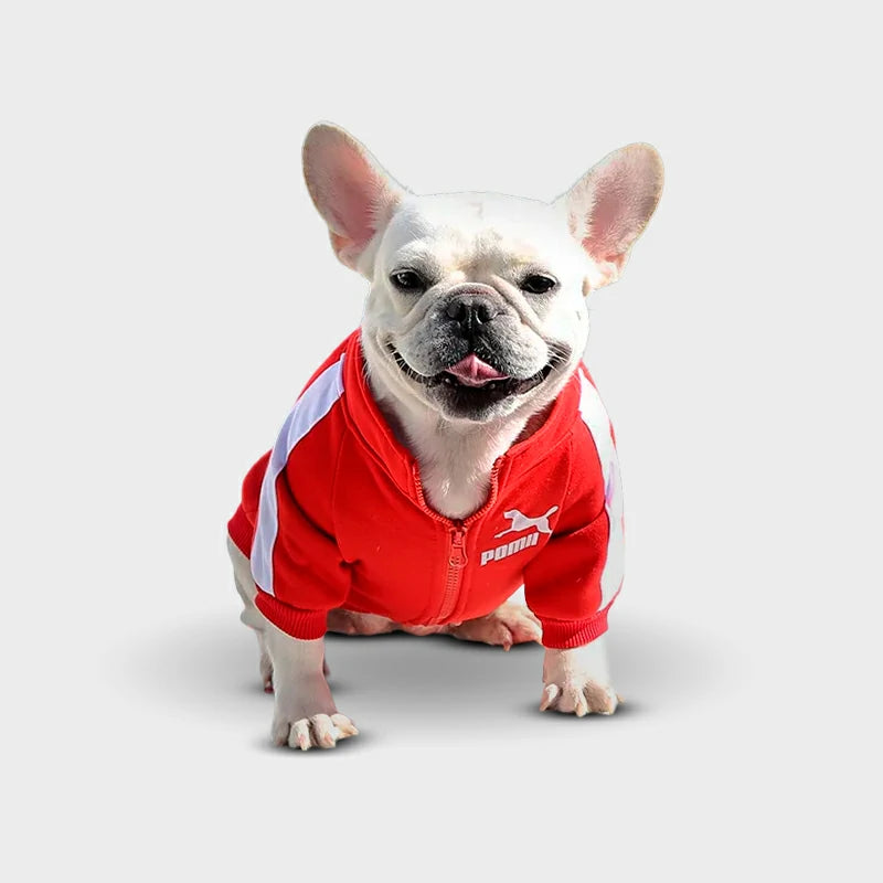 Stylish Winter Jacket for Small and Medium Dogs