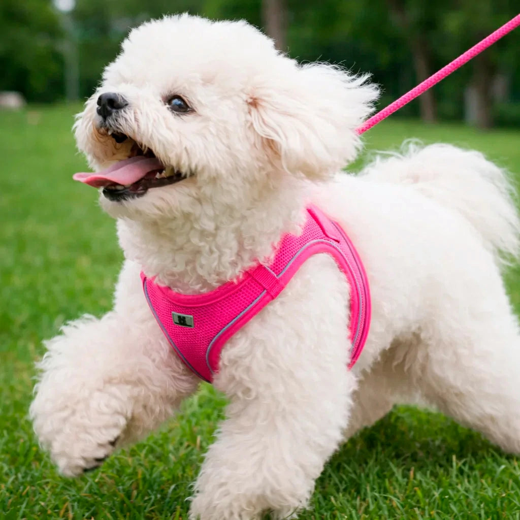 Reflective Dog Harness & Leash Set - Adjustable & Comfortable