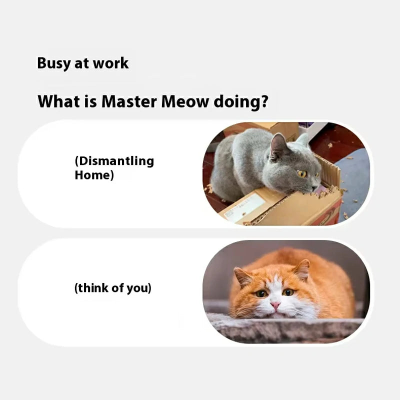 SmartMotion Ball – USB Rechargeable Interactive Cat Toy with Automatic Movement & Sound