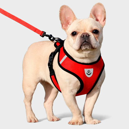 Adjustable Breathable Mesh Pet Harness & Lead Set for Small Dogs & Cats