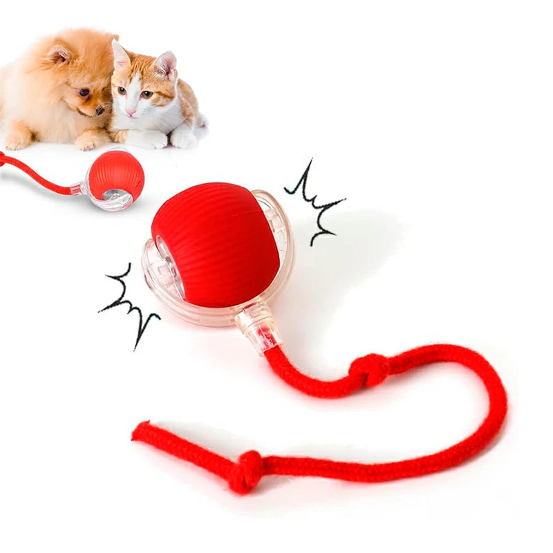 SmartMotion Ball – USB Rechargeable Interactive Cat Toy with Automatic Movement & Sound