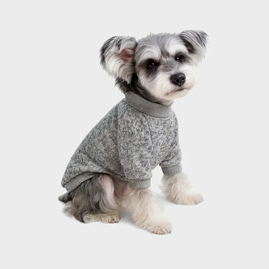 Cozy Winter Sweater for Small Dogs & Cats