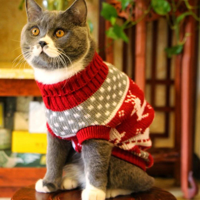 Cozy Winter Cat Sweater - Warm Pet Clothing