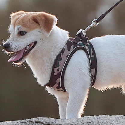 Reflective Dog Harness & Leash Set - Adjustable & Comfortable