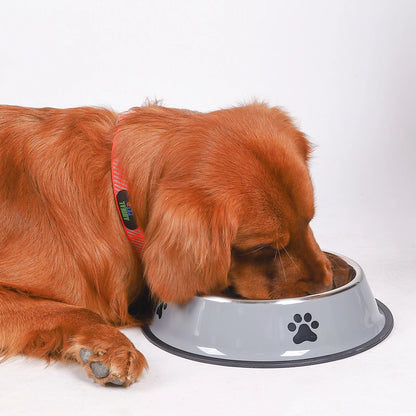 Premium Stainless Steel Pet Feeding Bowl - Anti-Slip Design