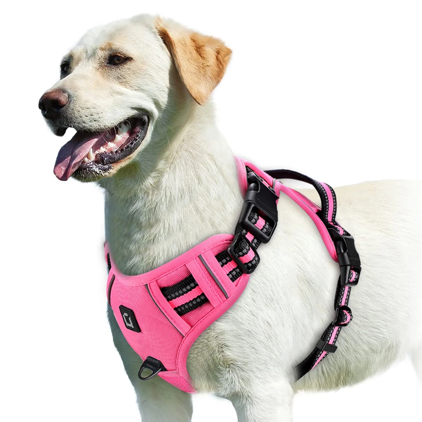 Ultimate No Pull Dog Harness with Reflective Safety