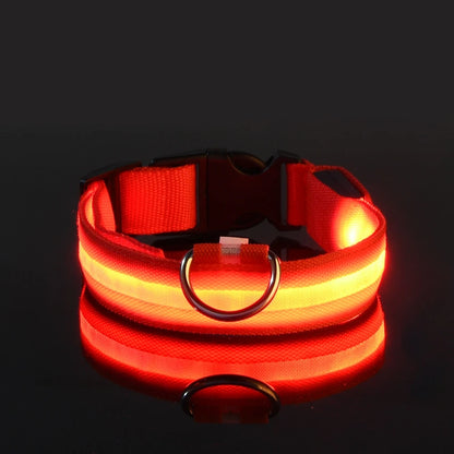 SafeGlow Collar™ – Luminous Safety for Pets