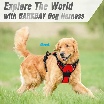 Heavy-Duty Dog Harness