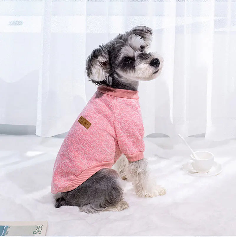 Cozy Winter Sweater for Small Dogs & Cats