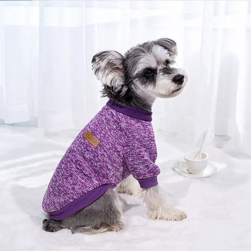 Cozy Winter Sweater for Small Dogs & Cats