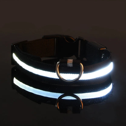 SafeGlow Collar™ – Luminous Safety for Pets