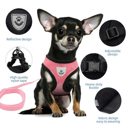 Adjustable and Breathable Harness for Dogs and Cats