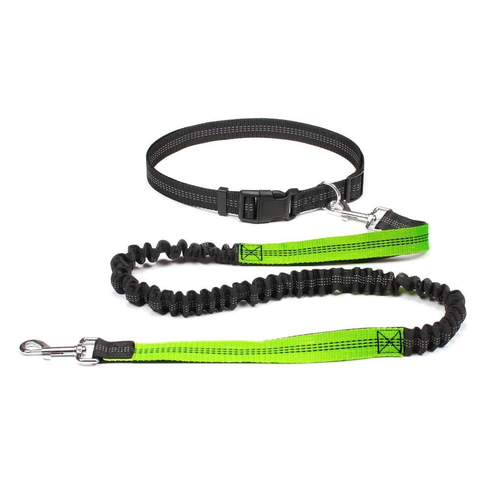 Hands-Free Adjustable Dog Leash for Active Pet Owners