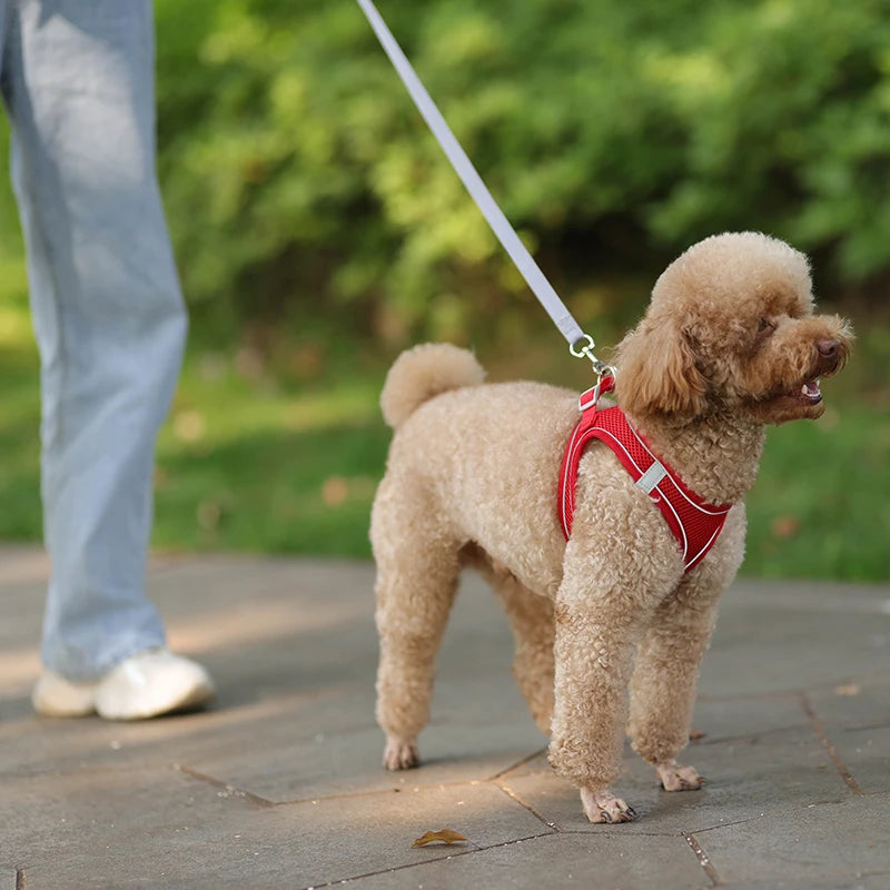 Adjustable Reflective Harness & Leash Set for Small Dogs